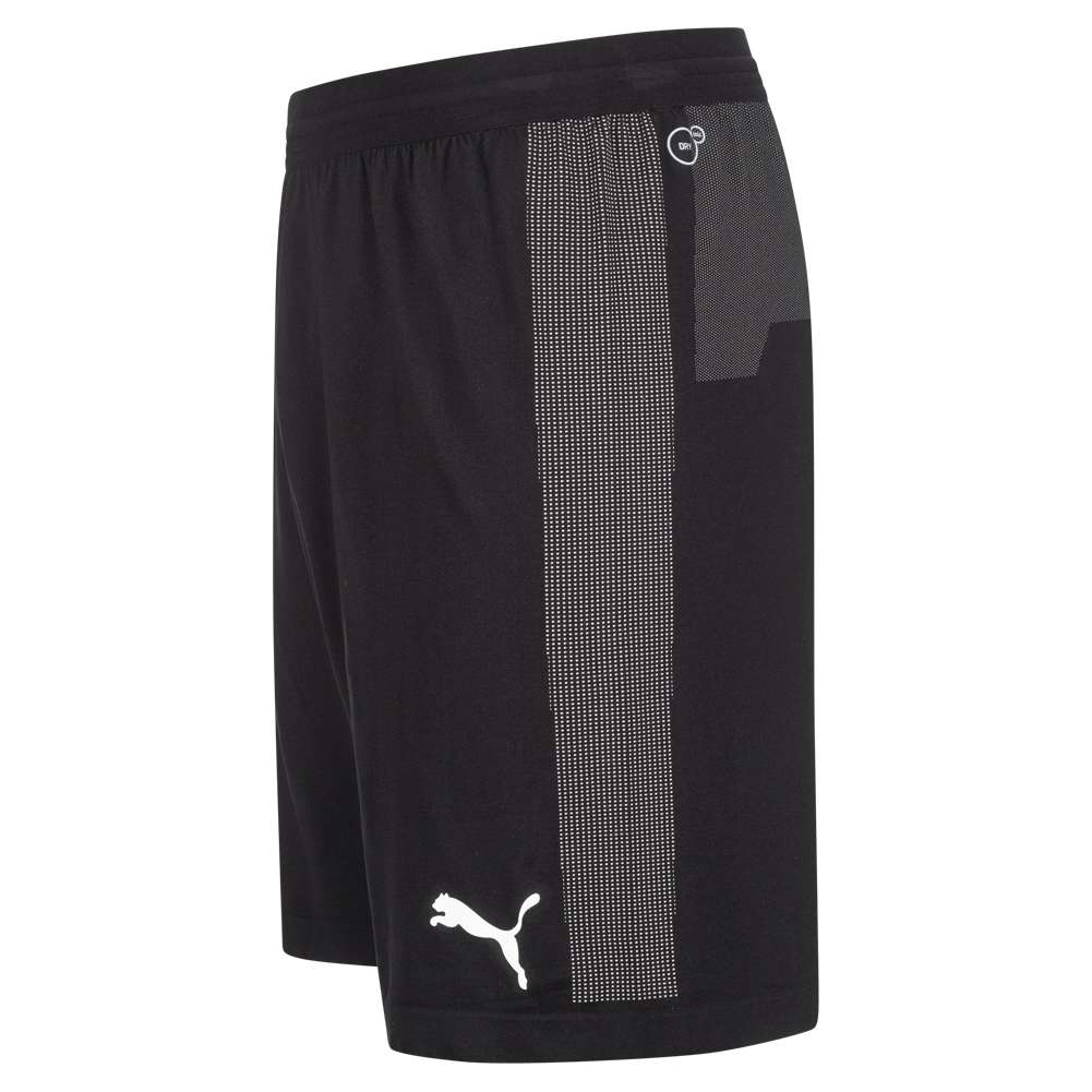 PUMA Finale EVOknit Herren Shorts 703449-03