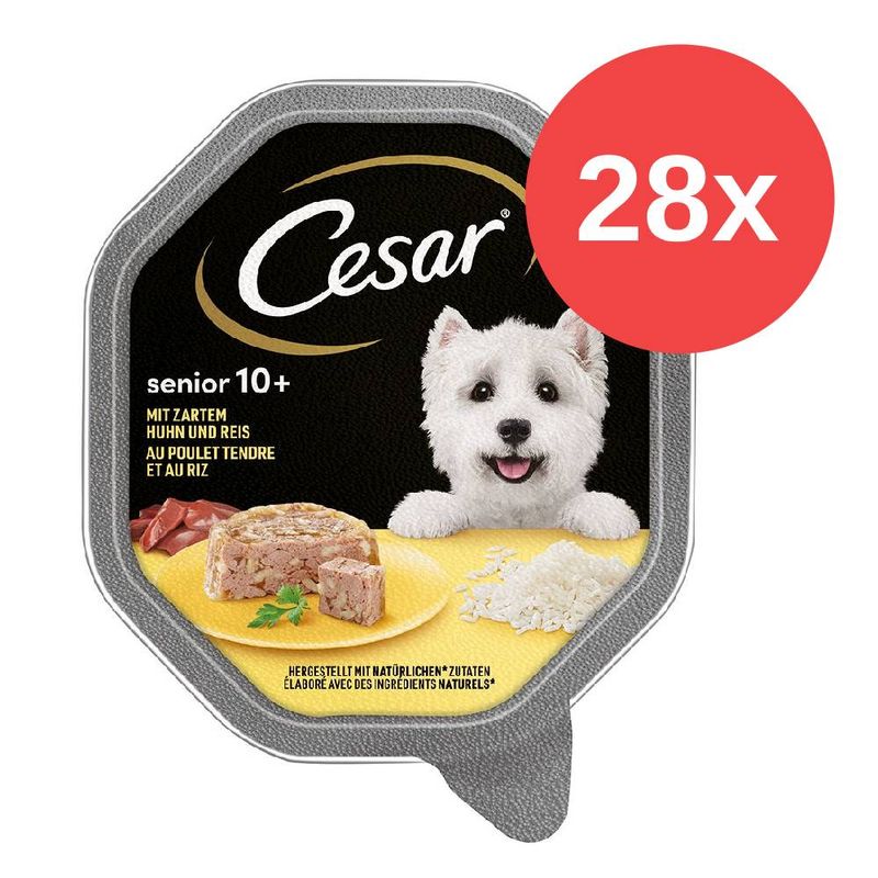 Sparpaket Cesar Senior 10+ Schale 28 x 150 g