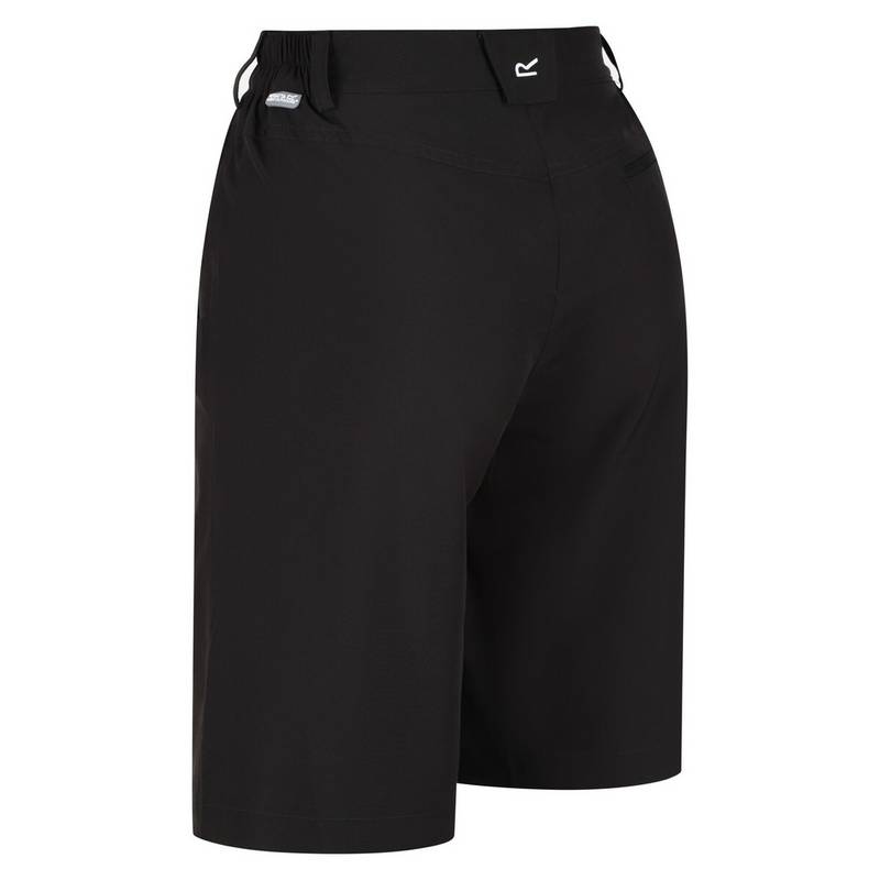Regatta Xert It Shorts Damen
