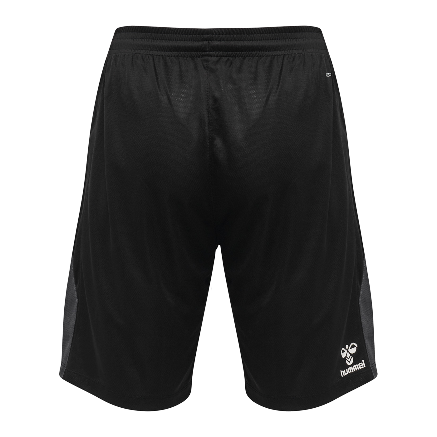 Hummel hmlLEAD Trainer Short Schwarz F2001