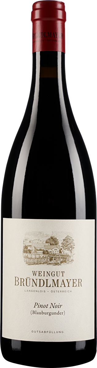 Bründlmayer Pinot Noir 2019