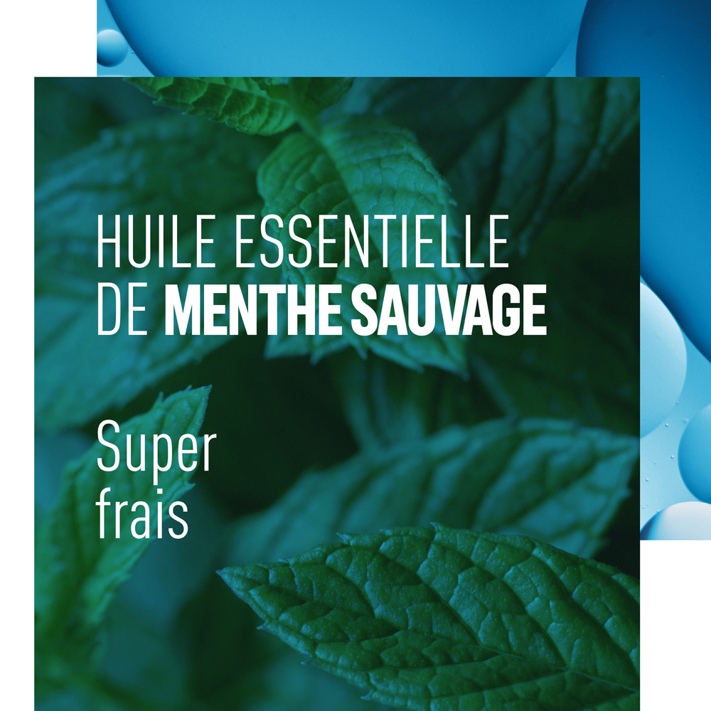 adidas Adidas - Active Skin & Mind - DéodorantPure Fresh Mixte 50 ML Déodorant