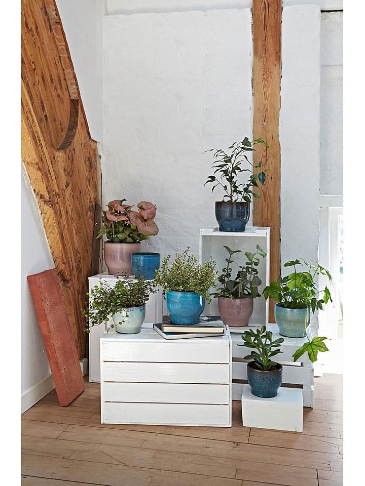 Knabstrup Blumenübertopf 