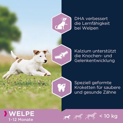 Eukanuba Puppy Small Breed Huhn