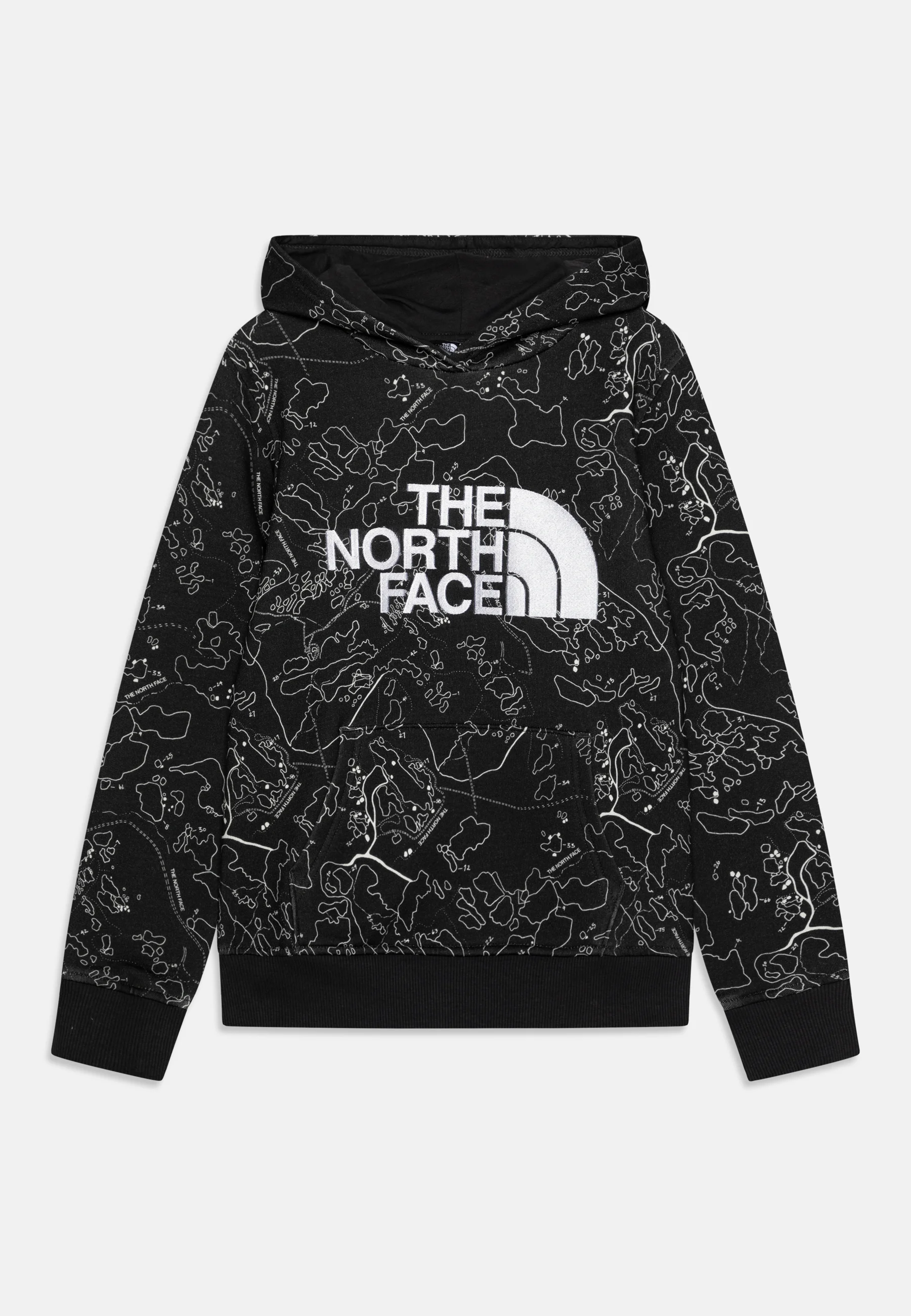 Sudadera con capucha y estampado Drew Peak de The North Face, unisex