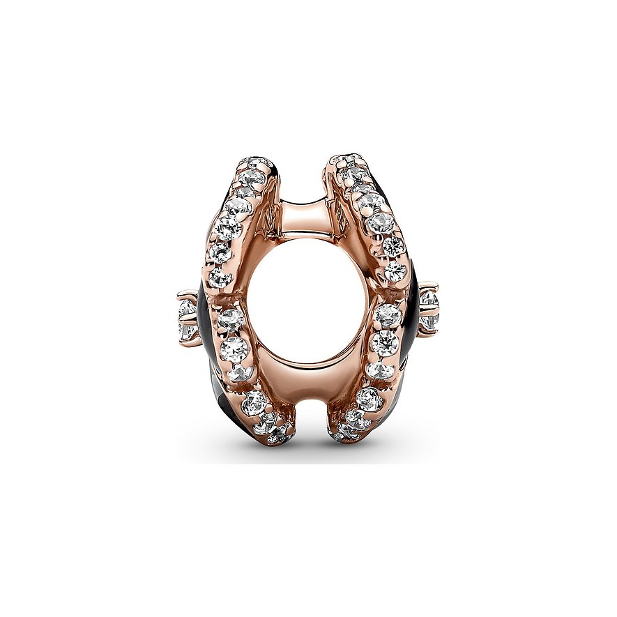 Pandora Charm Moments