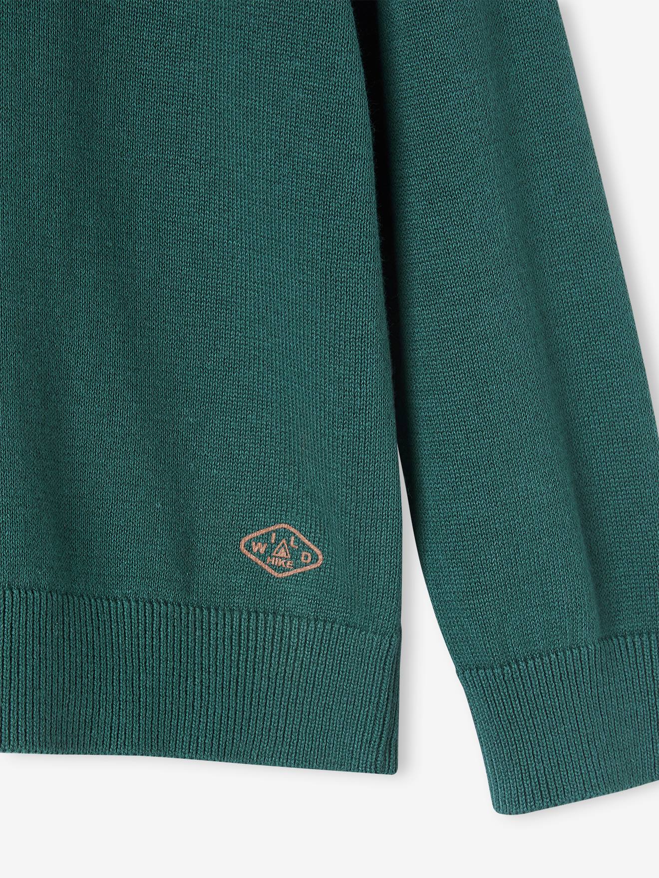 Vertbaudet Jungen Pullover mit Stehkragen Oeko-Tex - tannengrün