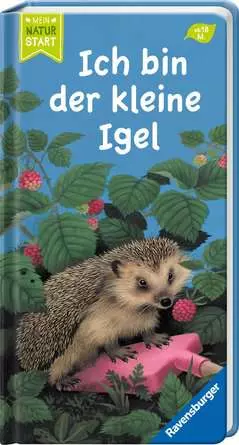 Ich bin der kleine Igel