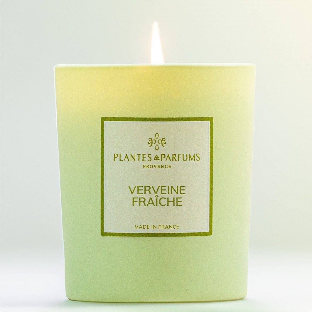 Piante e profumi Verbena fresca