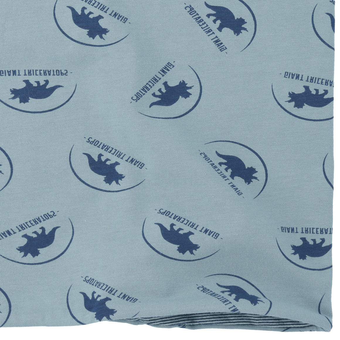 Jungen Snood mit Dino-Motiven
