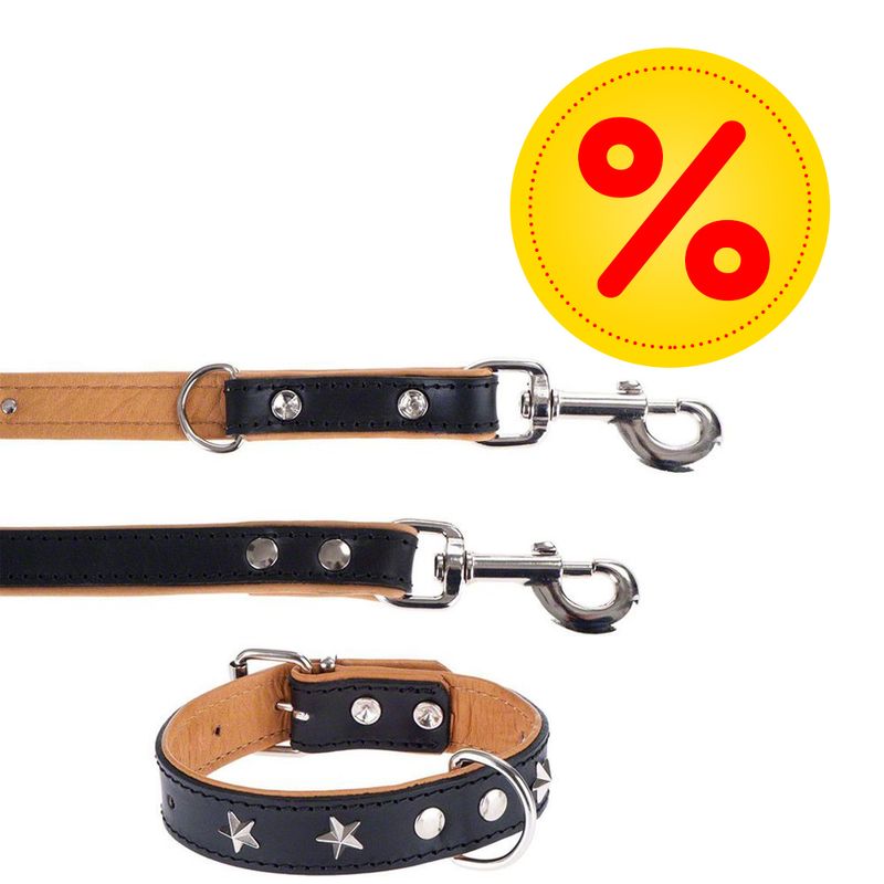 Sparset Heim Vorführleine + Lederhalsband Stars % bei bitiba.de
