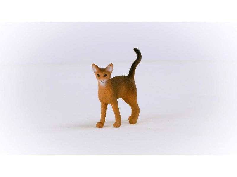 Chat Abyssin