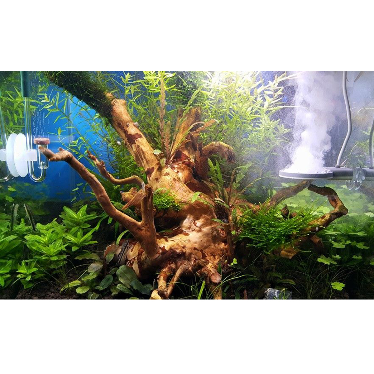 TWINSTAR 2 Aquarium-Sterilisator Nano günstig kaufen