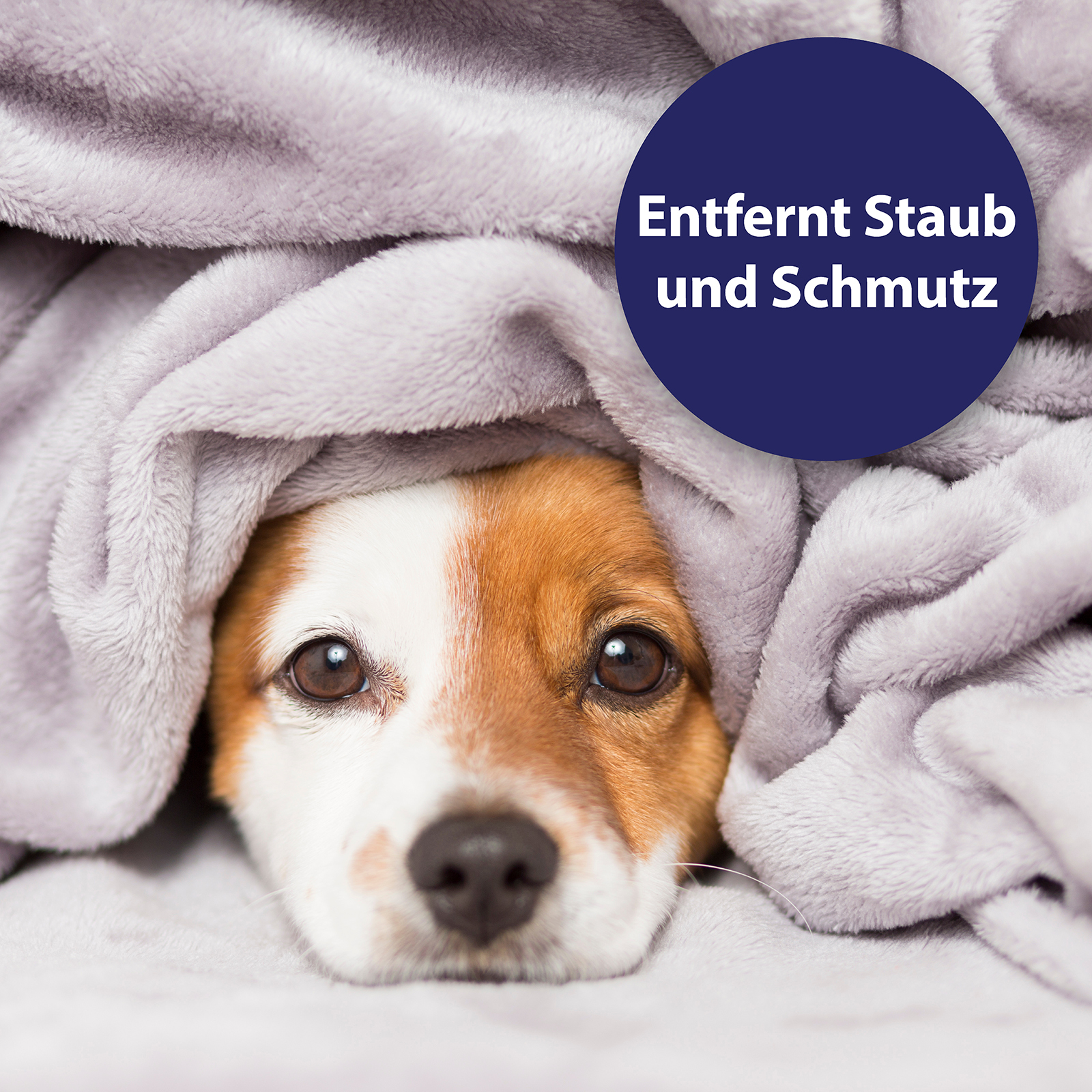 Canosept Augen- & Ohrenpflege Canosept Augenpflege Pads für Hunde 100 Stück