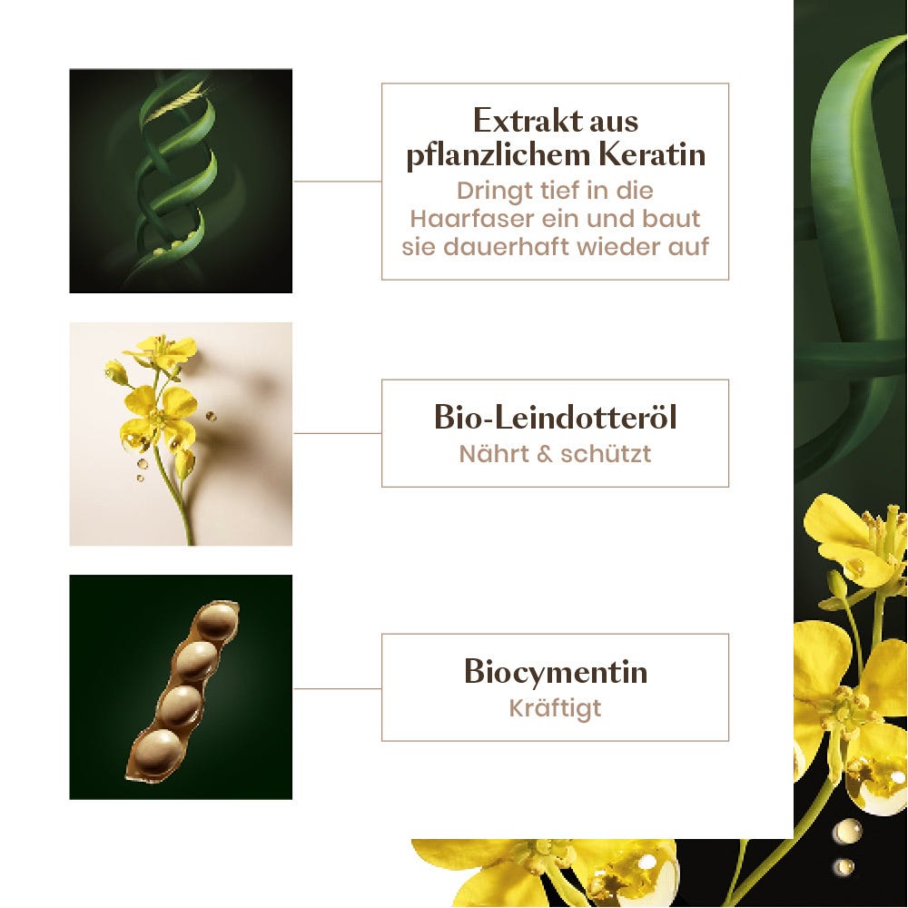 Rene Furterer Absolue Keratin Aufbauende Maske 250 ml