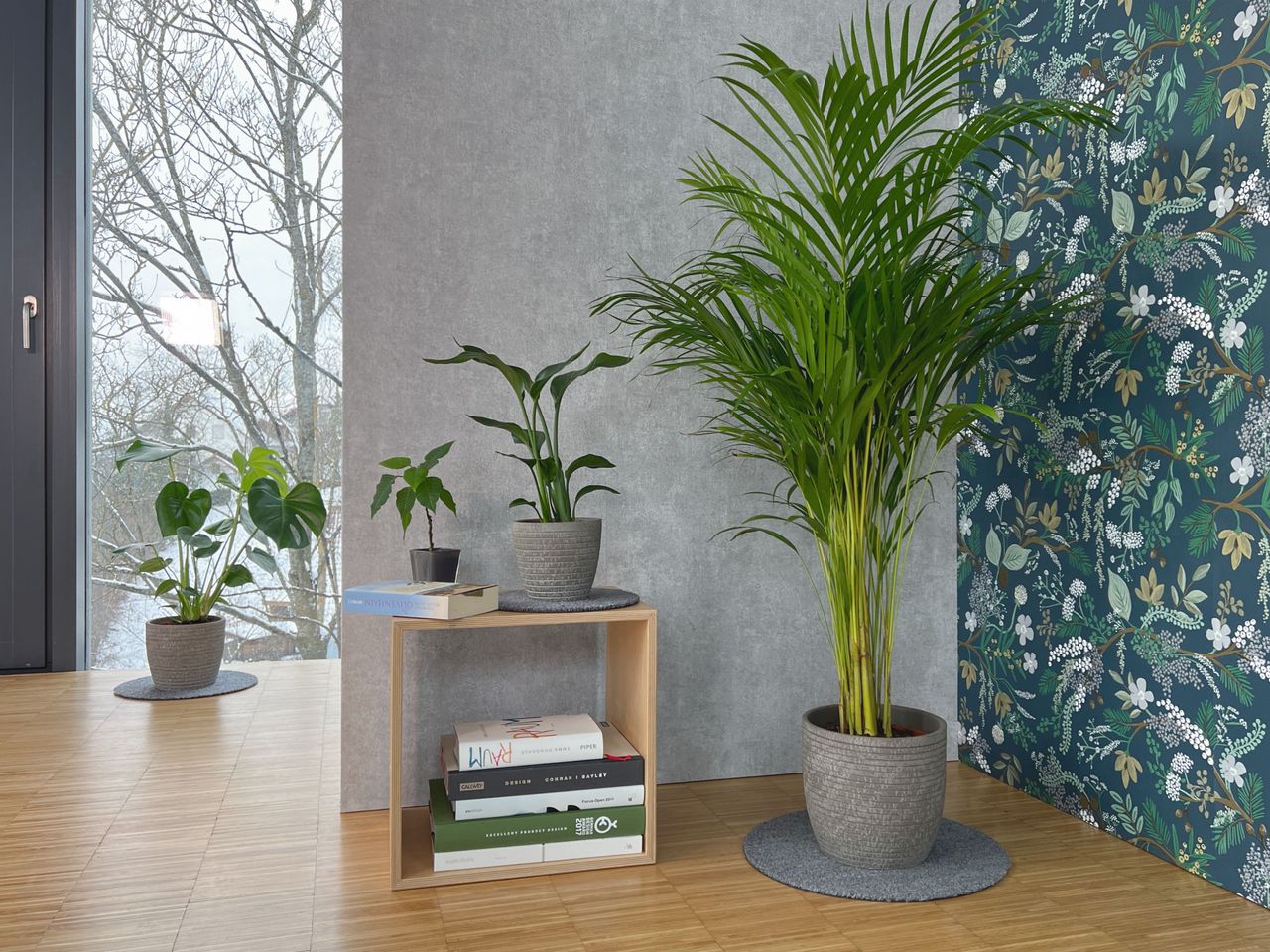 Keilbach Designprodukte Keilbach Blumentopf Unterlage, ⌀ 25,0 cm, dunkelgrau