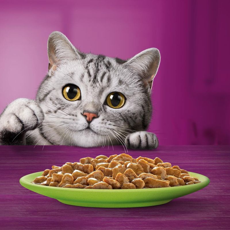 Megapack Whiskas Senior Frischebeutel 24 x 85 g