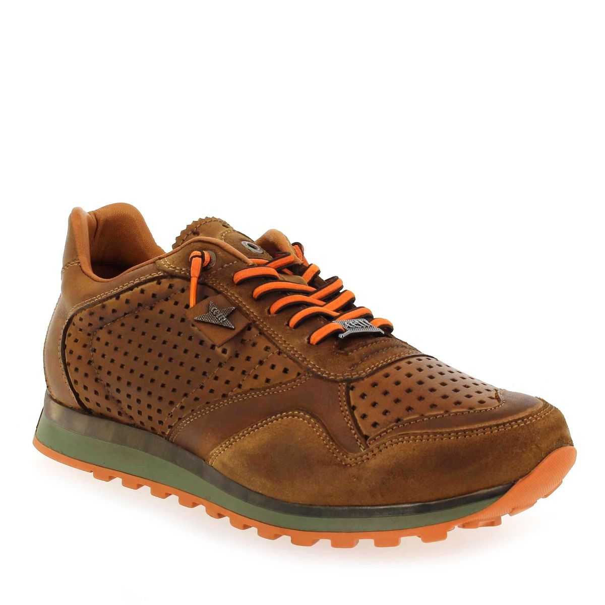 Cetti  C848 H22 - camel