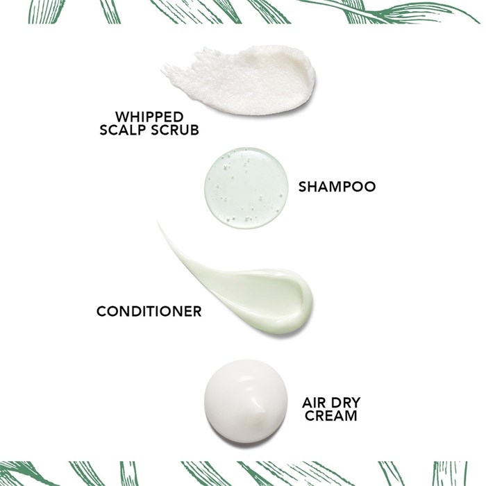 Seaweed Shampoo