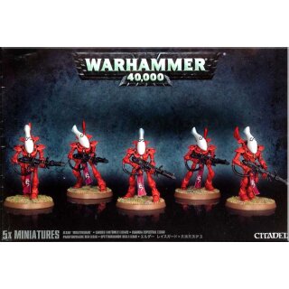 Craftworlds Wraithguard / Wraithblades (46-13)
