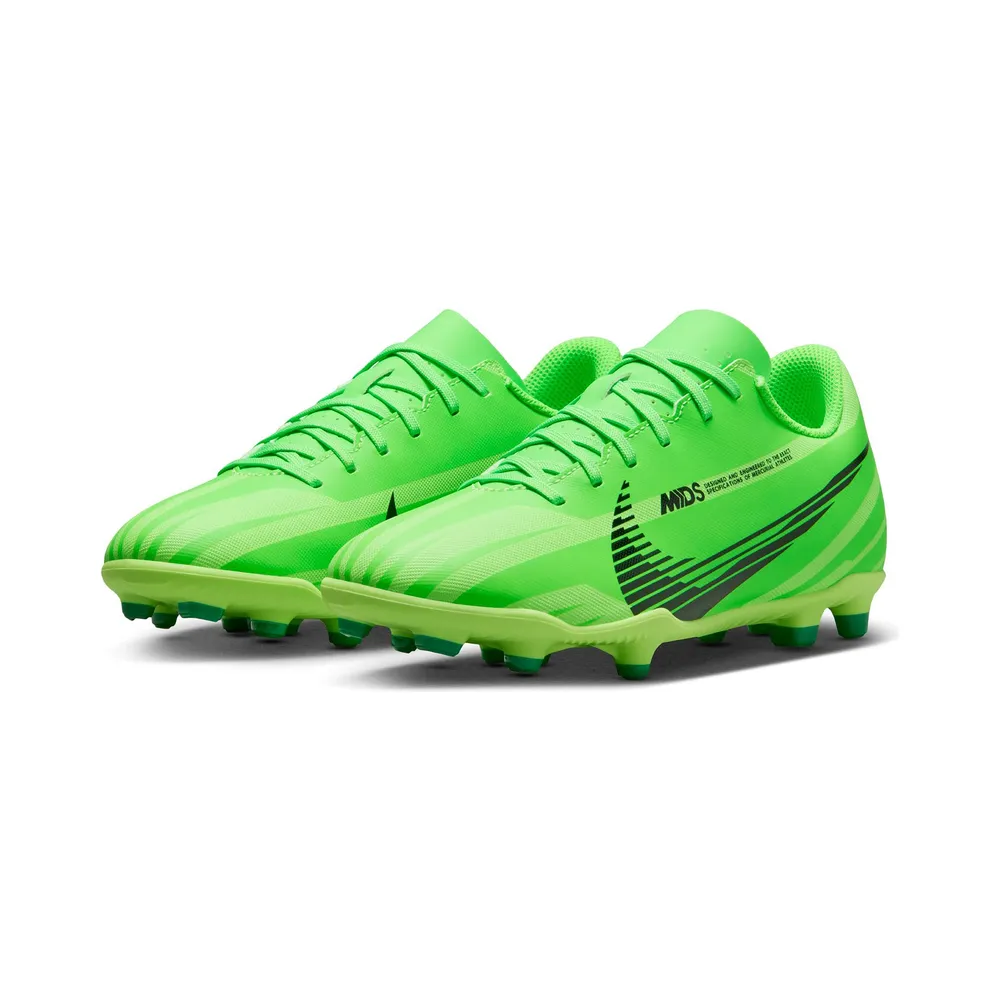 Nike Mercurial Vapor 15 Club Dream Speed FG MG FJ7188-300 / grün