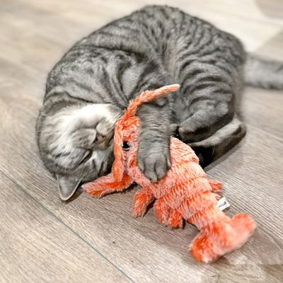 Aumüller Lucky Lobster Zappel-Hummer