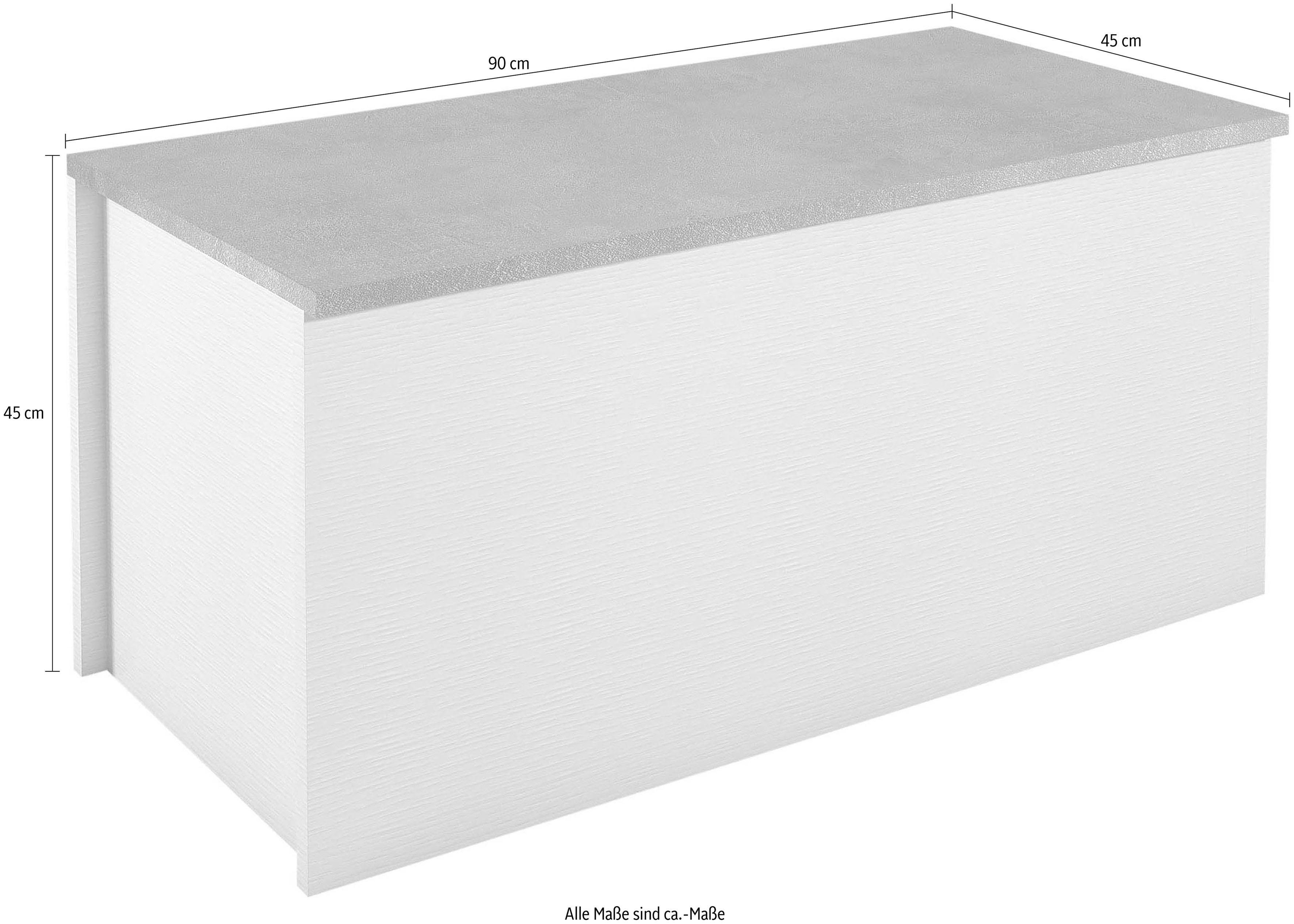 INOSIGN Truhe Container