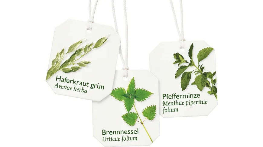 Bad Heilbrunner Basischer Kräutertee 14.4 g