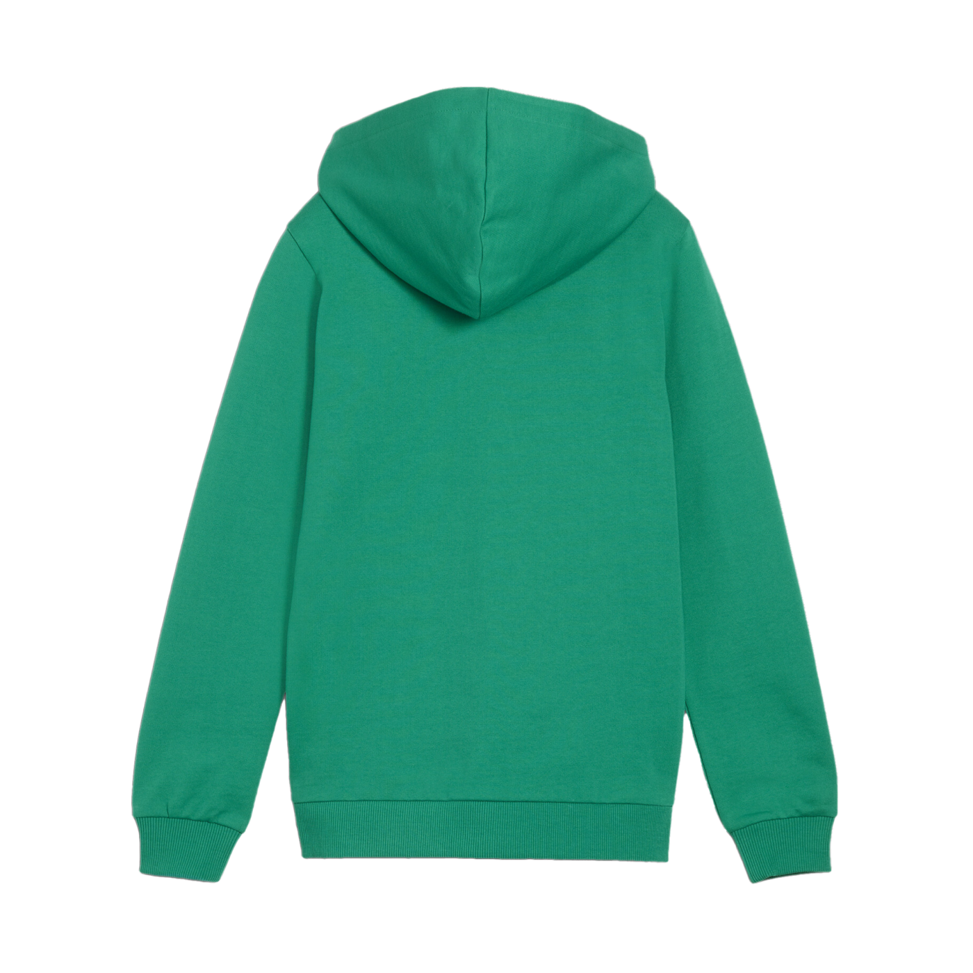 PUMA teamGOAL Casuals Kapuzenjacke Kids Grün F05