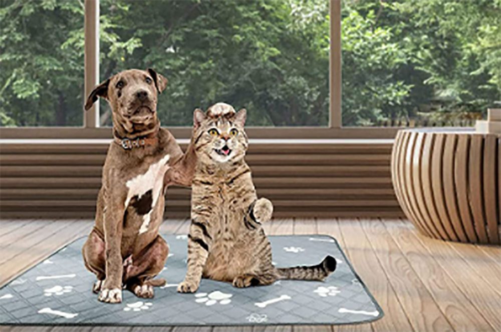 Inkontinenzauflage waschbare Hundetrainingspads Streicheln, Reise-Urini-Pads für Hunde Hundematte