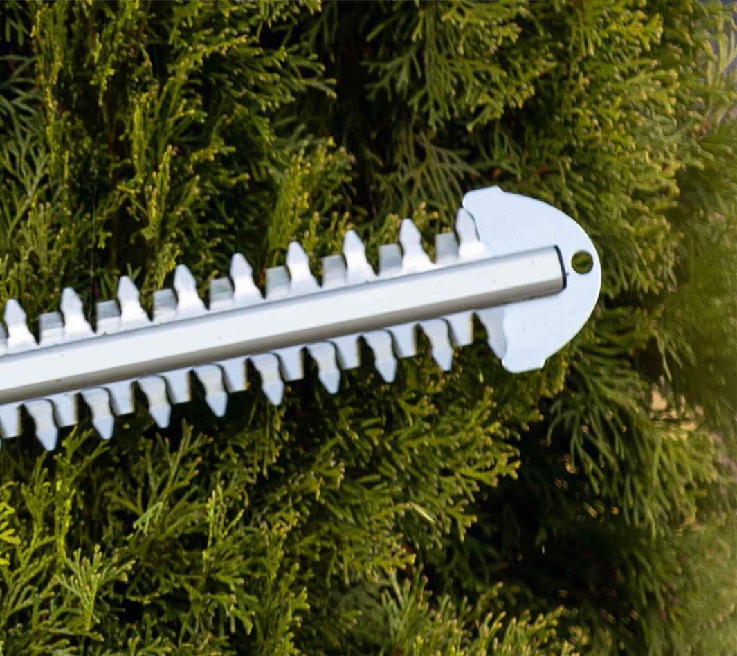 Scheppach 5910607900 Mașină de tuns gard viu 20V C-HT570-X