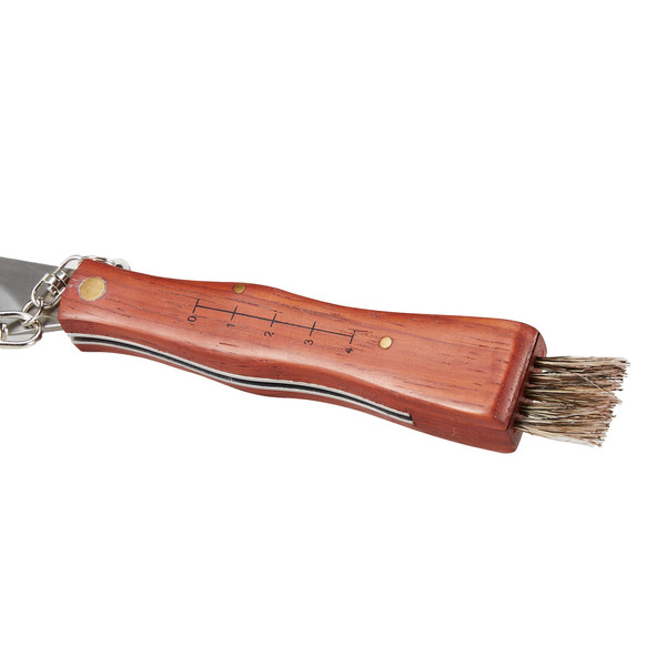 PILZMESSER - Klappmesser