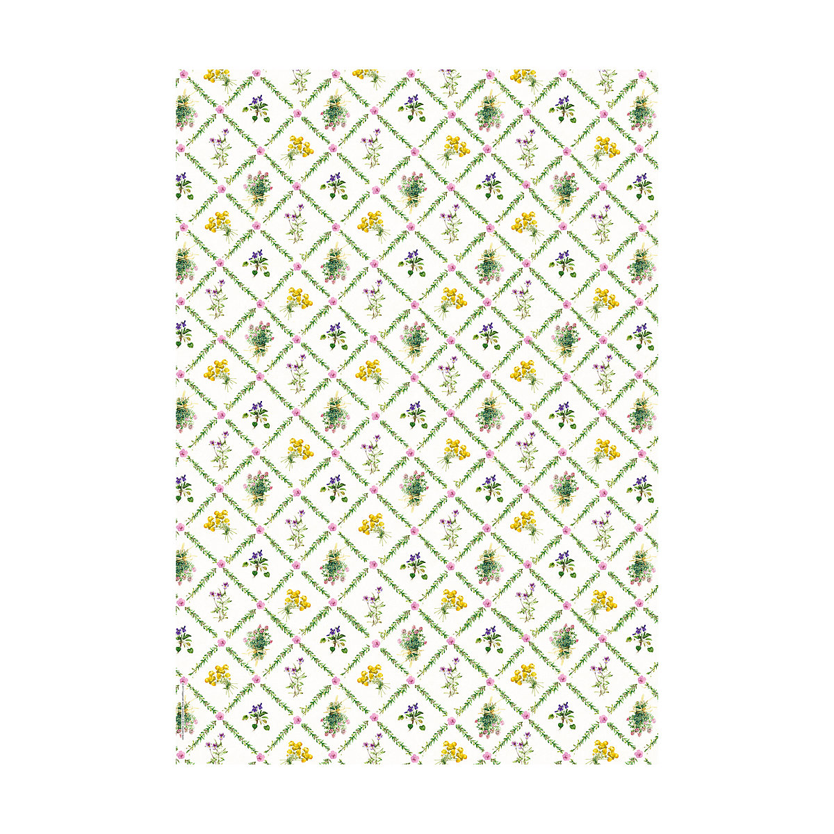 Geschenkpapier-Buch - Schöner schenken, 10 Bogen á 50 x 70 cm + 9 Geschenkanhänger