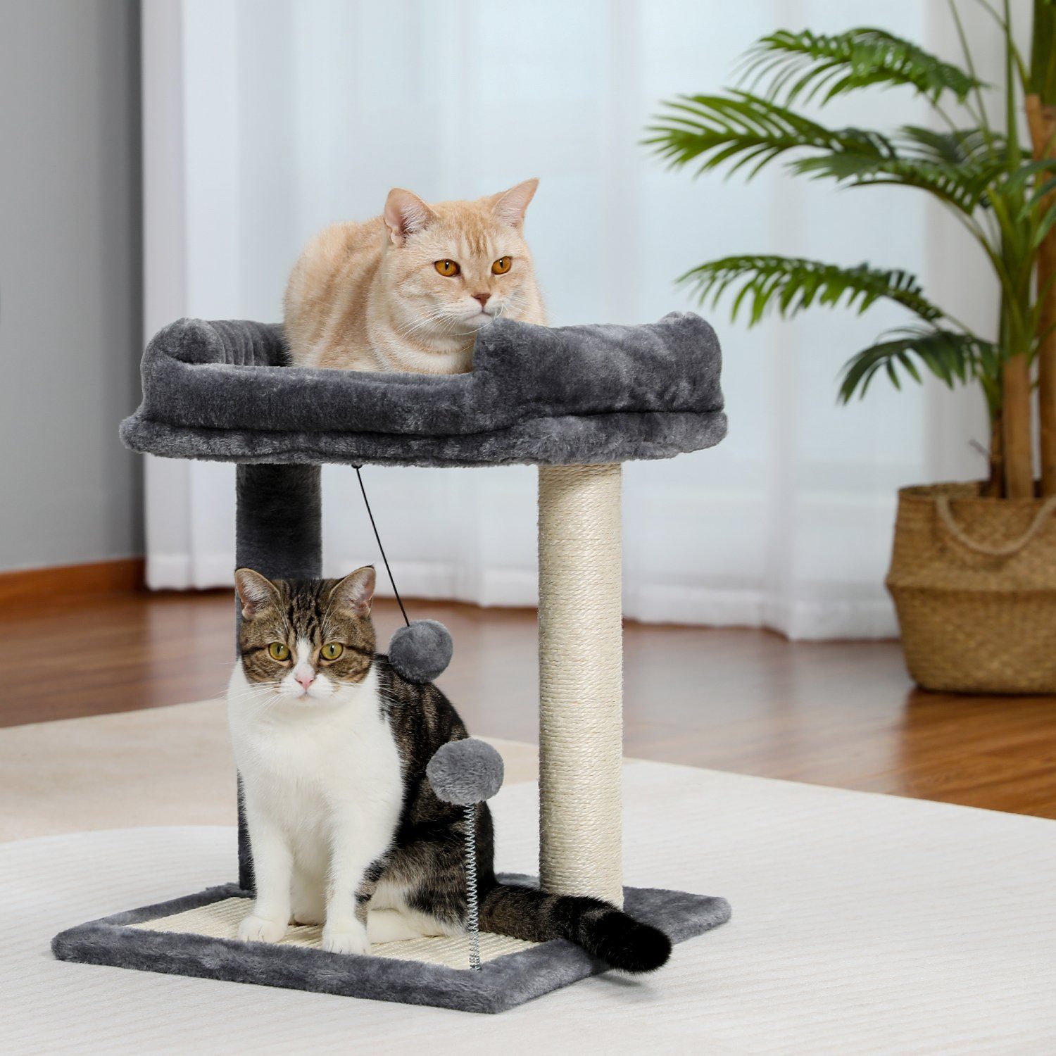 PAWZ Road Kratzbaum Kratzbaum 49cm Kratzstamm Kratzbrett mit breitem Bett Grau