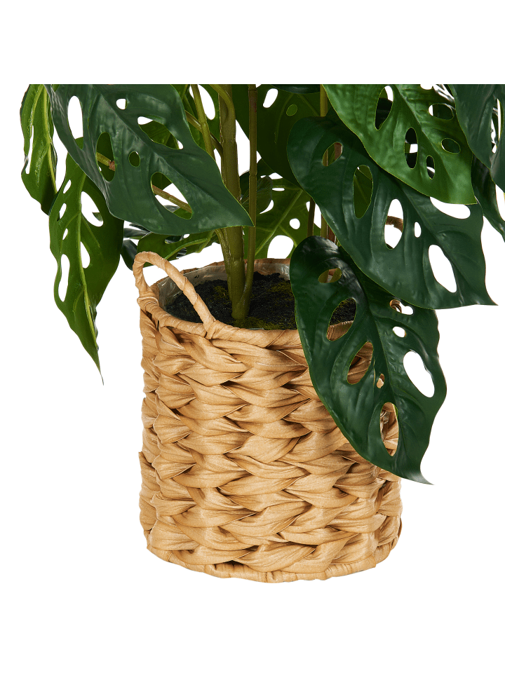 Beliani Kunstpflanze MONSTERA ADANSONII in Grün/Schwarz - (W) 27 x (H) 53 x (L) 27 cm günstig kaufen onesize