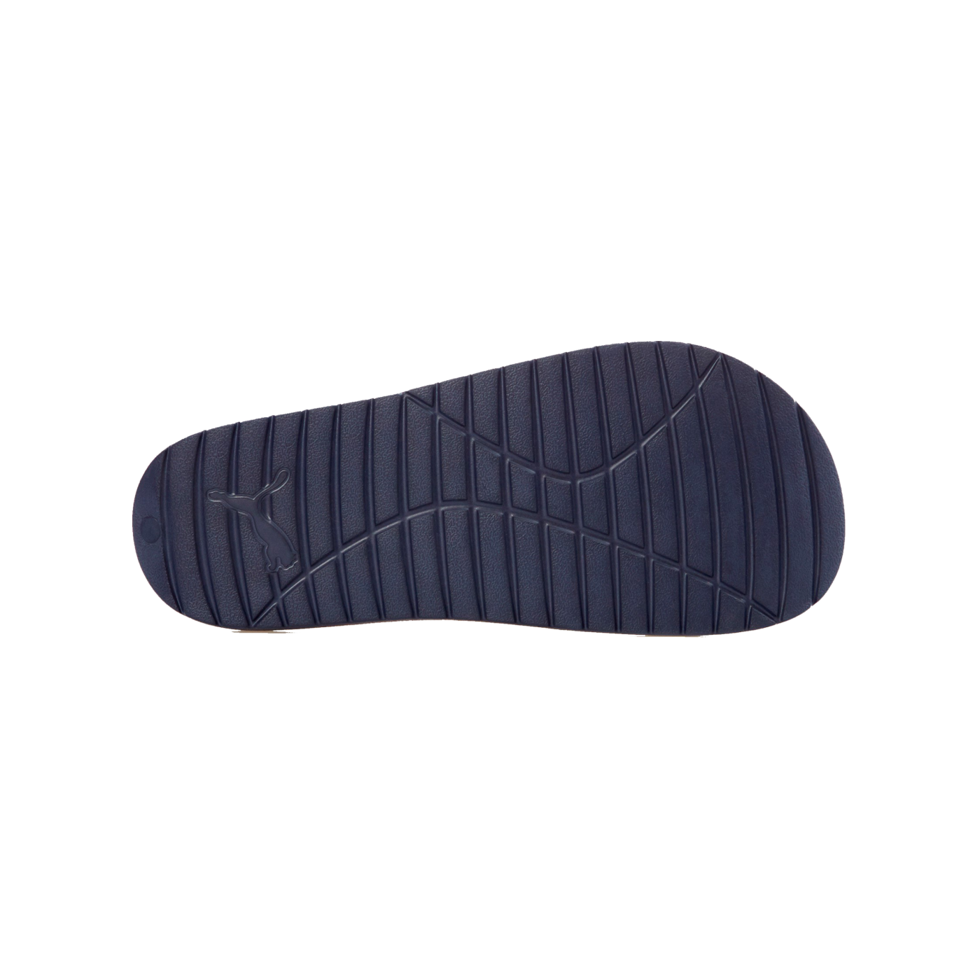 PUMA Divecat v2 Lite Badelatsche Blau Weiss F02