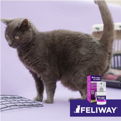 Feliway® Classic Transportspray