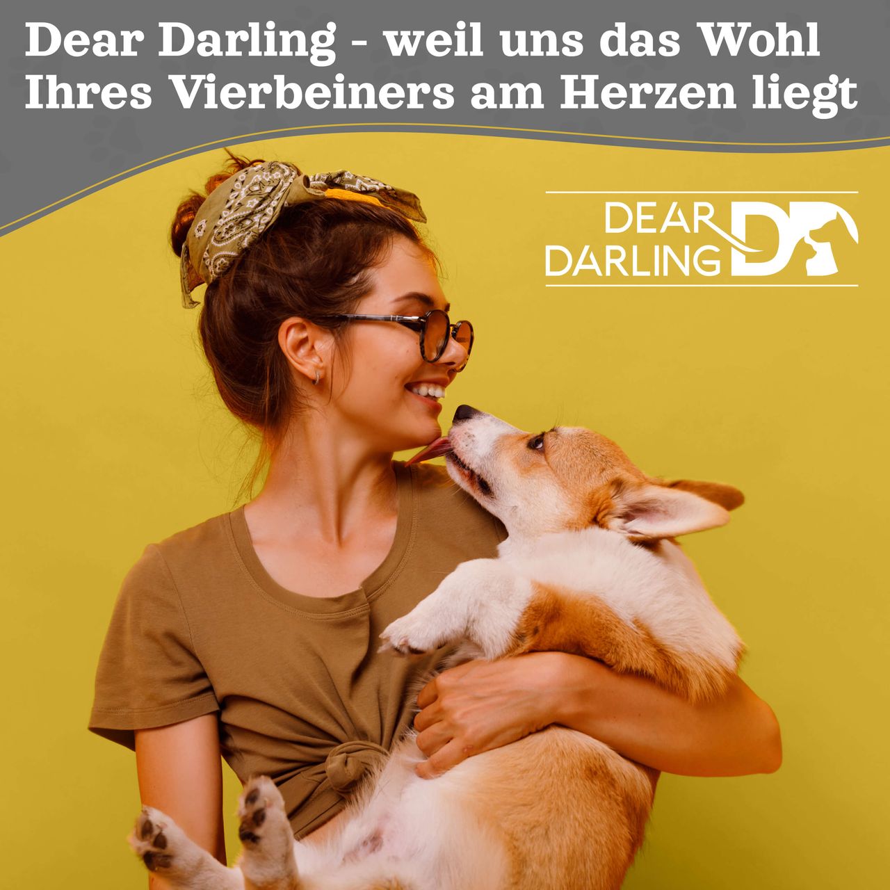 Dear Darling DD-03GRM Luxus Katzenkorb Hundekorb grau Gr. M 36x40cm Haus Höhle
