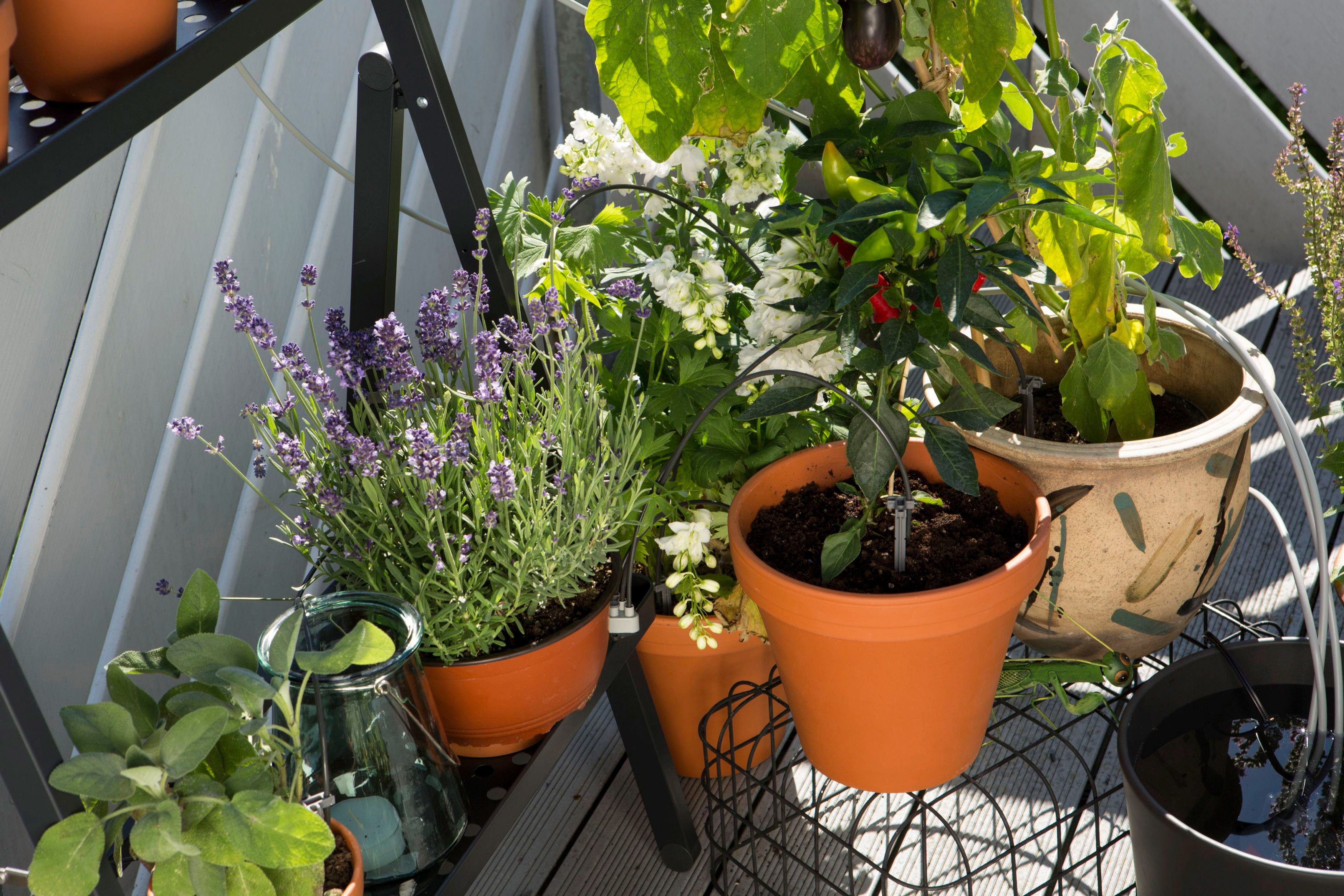GARDENA Bewässerungssteuerung city gardening, 1265-20