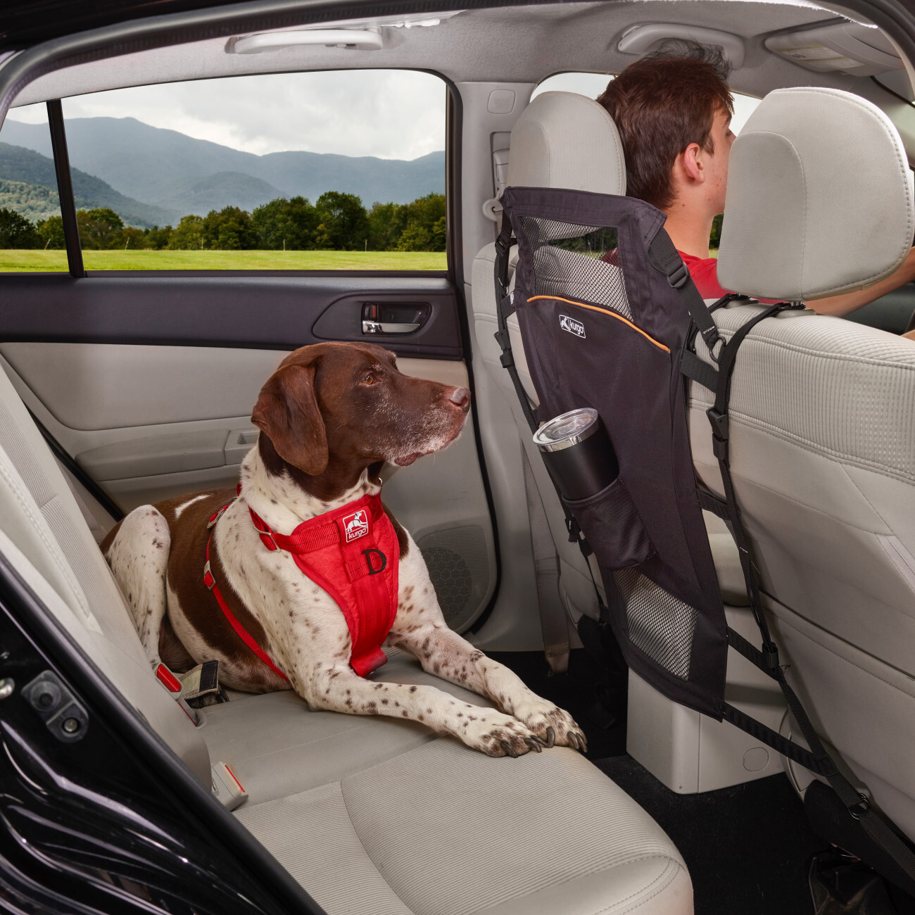 Kurgo Autozubehör Kurgo Rücksitz-Trennwand für Hunde, Schwarz