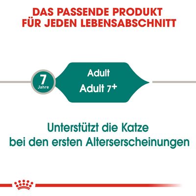 Royal Canin Instinctive +7 in Soße