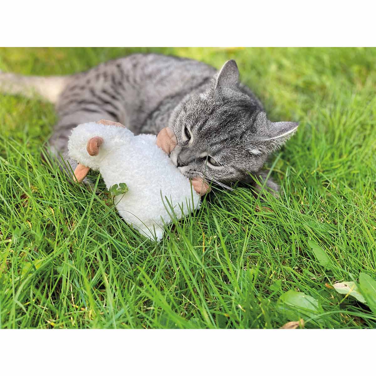 Aumüller Katzenspielkissen Schäfchen Sally kaufen