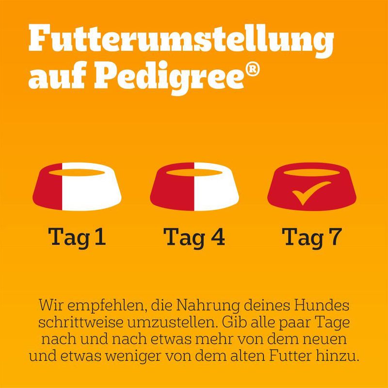 Pedigree Senior Frischebeutel Multipack