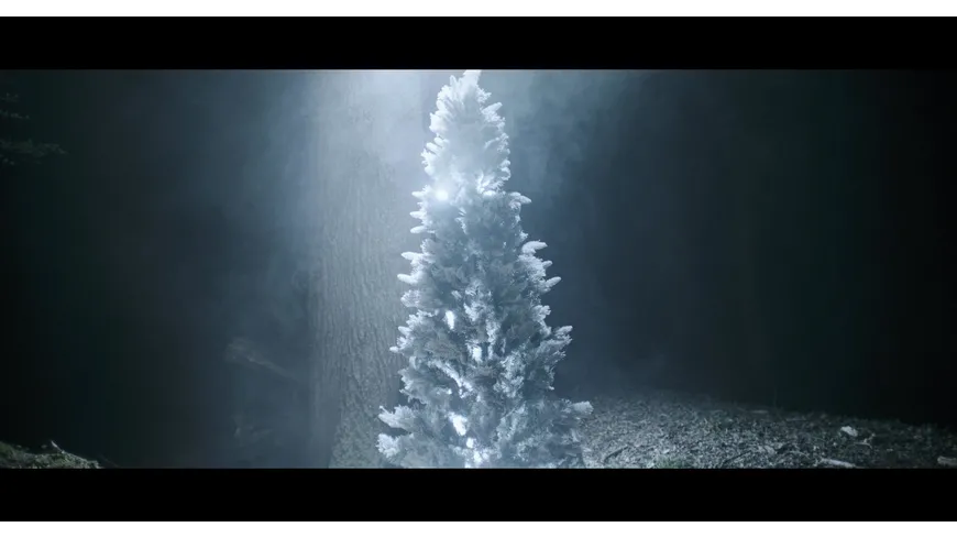 The Killing Tree - Limited Edition