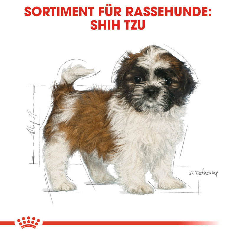 ROYAL CANIN Hundetrockenfutter ROYAL CANIN Shih Tzu Puppy 1,5kg