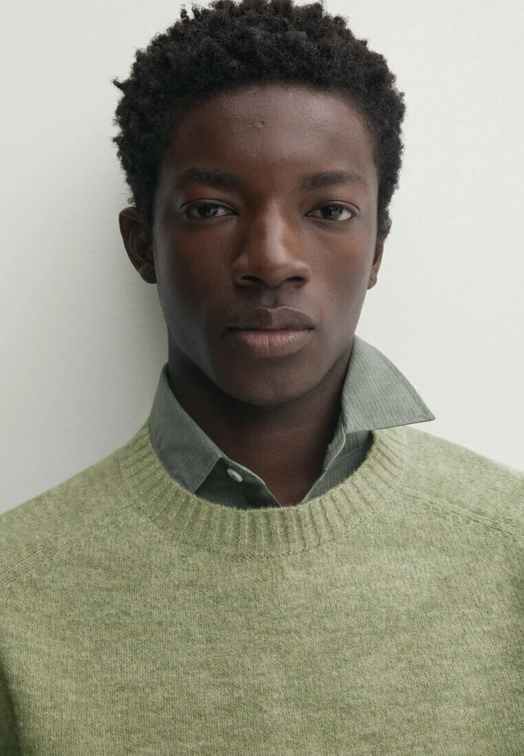 Massimo Dutti BRUSHED BLEND - Suéter