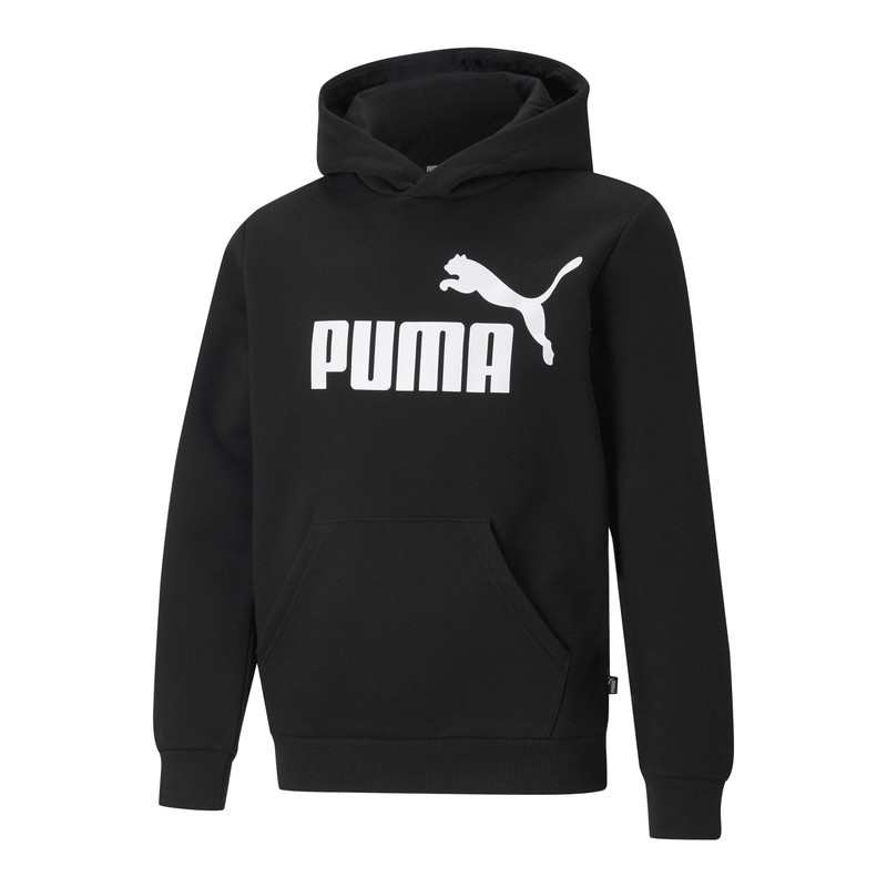 Sweat à capuche Big Logo Hoodie