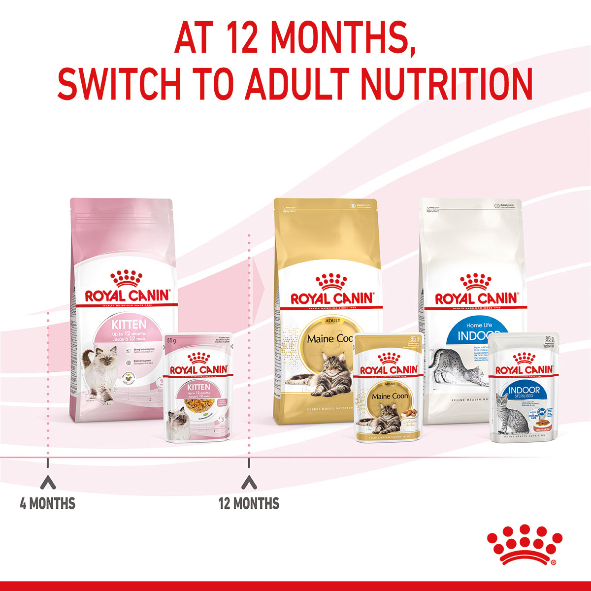 ROYAL CANIN KITTEN Nassfutter in Gelee für Kätzchen