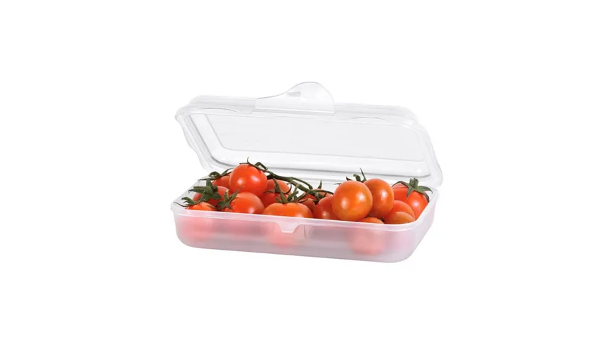 rotho Brotdose flach Funbox 0,45l klar