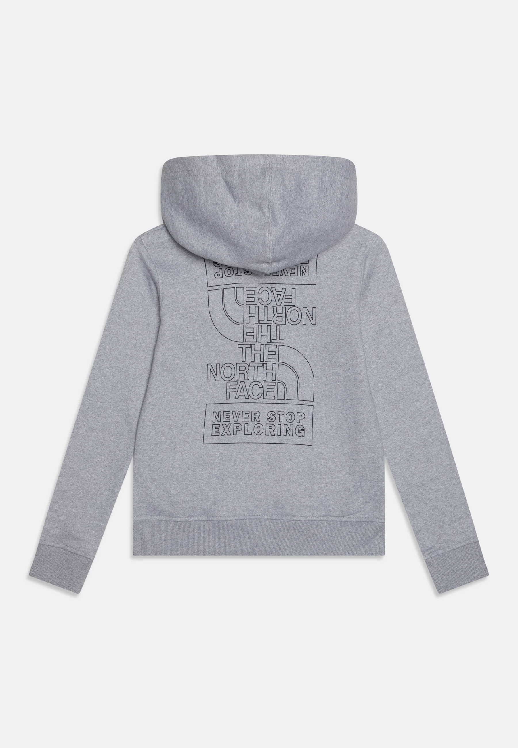 Sudadera unisex con capucha y estampado gráfico para adolescentes de The North Face